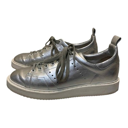 Golden goose starter - goose, silver
